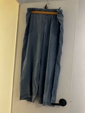 Splendid Light Blue Wide-Leg Pull-On Pants